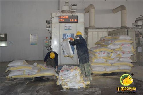 標(biāo)桿工廠，再創(chuàng)輝煌 浙江播恩預(yù)混料與教槽料產(chǎn)銷量破10000噸慶典隆重舉行